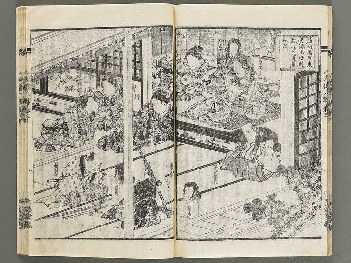 Nanso satomi hakkenden Volume 8, (Jo) / BJ316-302