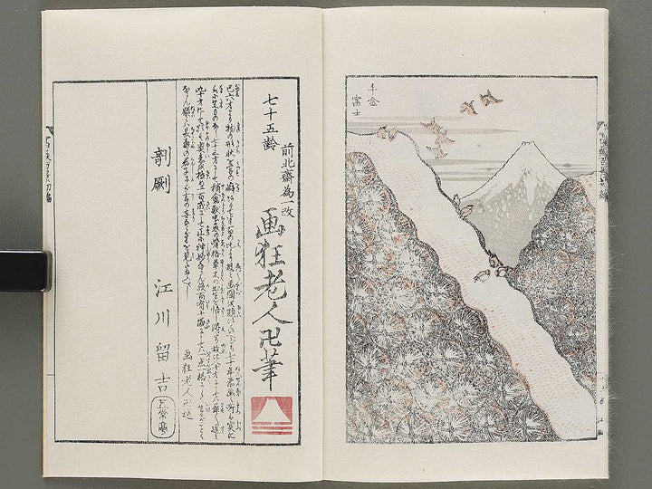 Hokusai fugaku hyakkei Part 1 by Katsushika Hokusai / BJ331-863