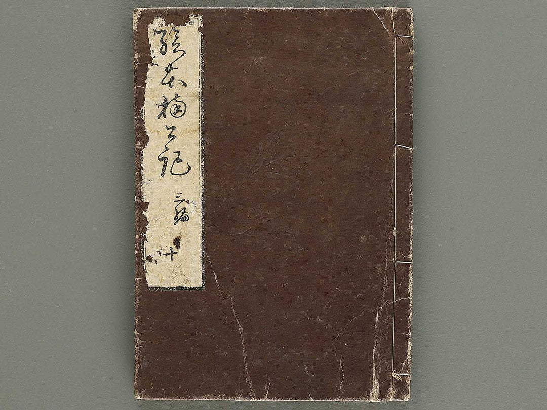 Ehon nankoki Part 3, Book 10 by Hayami Shungyosai / BJ336-756