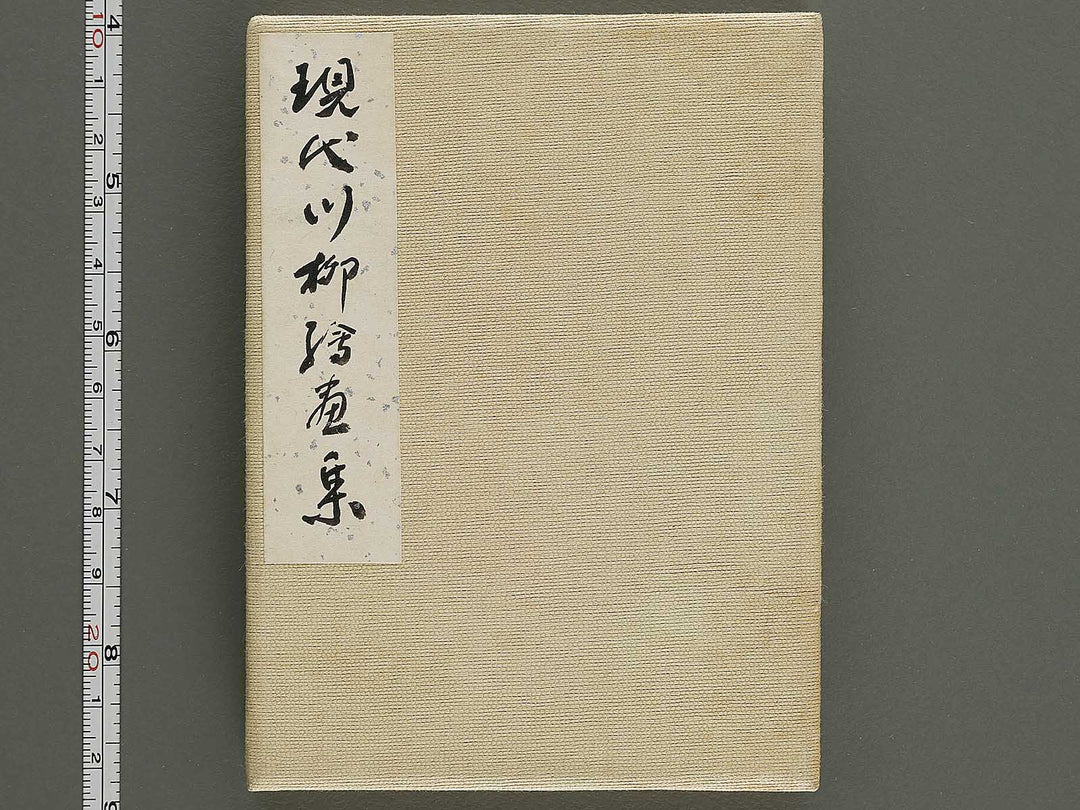 Gendai senryu kaigashu / BJ325-731