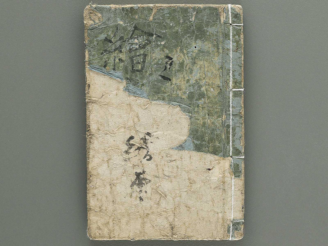 Yanagawa gafu (Kacho bu) by Yanagawa Shigenobu / BJ348-964