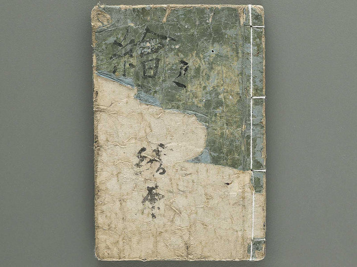 Yanagawa gafu (Kacho bu) by Yanagawa Shigenobu / BJ348-964