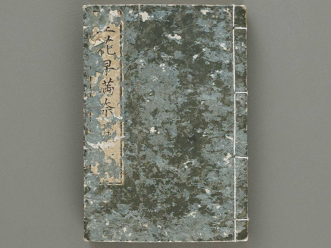 Ikebana hayamanabi / BJ331-275