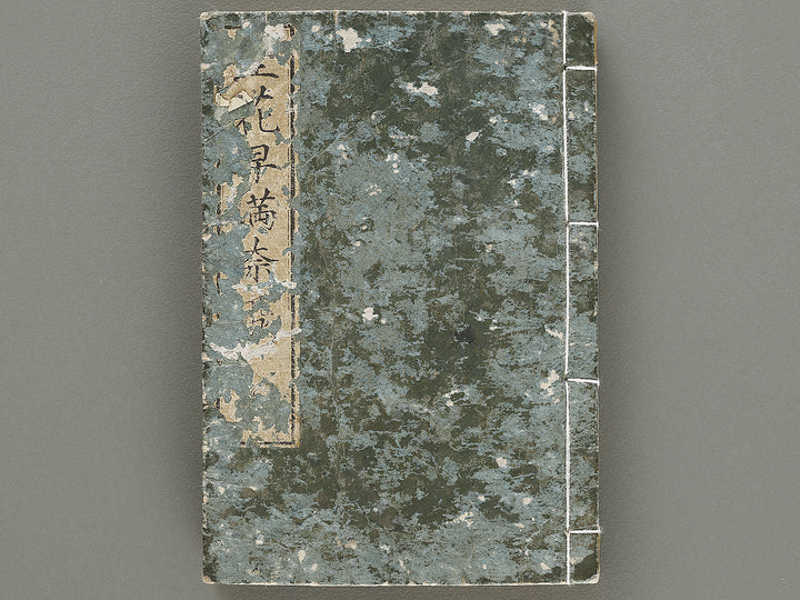 Ikebana hayamanabi / BJ331-275