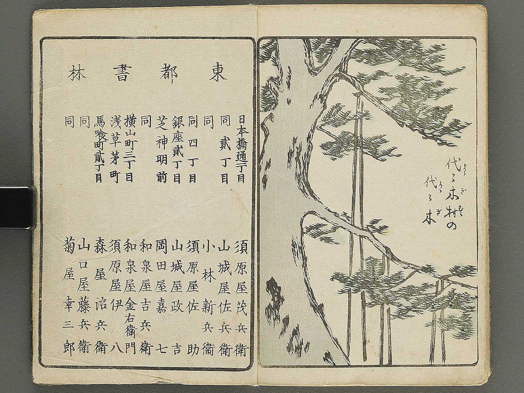 Ehon edo miyage Volume 9 by Utagawa Hiroshige / BJ343-882