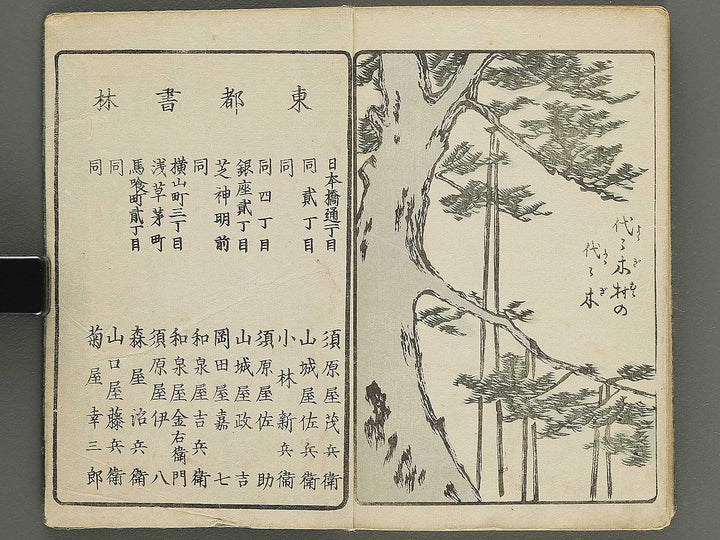 Ehon edo miyage Volume 9 by Utagawa Hiroshige / BJ343-882