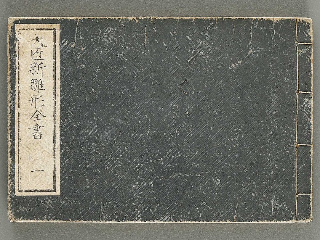 Taisho shin hinagata zensho Volume 1 / BJ337-995