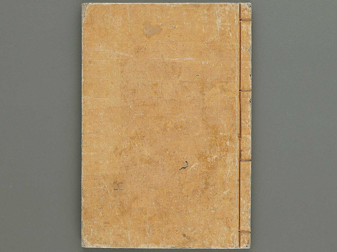 Soka koromonoka Volume 4 by Hishikawa Sori / BJ335-188