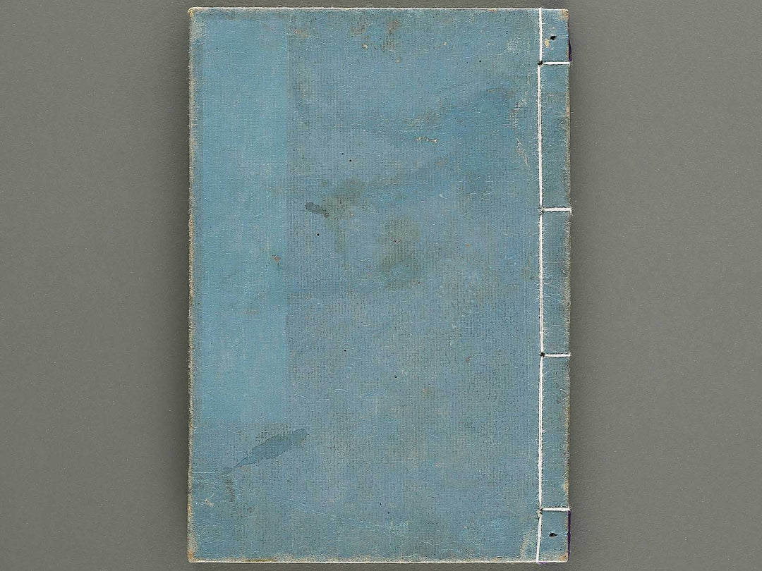 Shoryu hiden ikebana dokushu jizai Volume 6 / BJ332-766