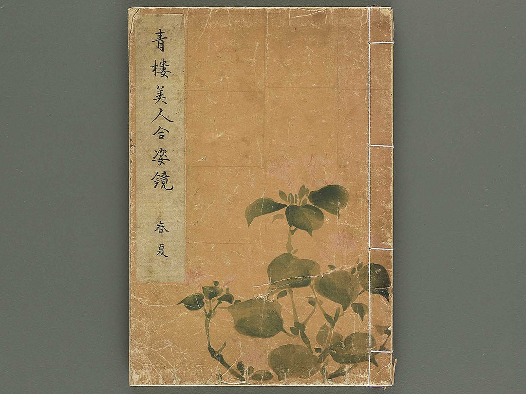 Seiro bijin awase sugata kagami Haru natsu by Kitao Shigemasa / BJ344-687