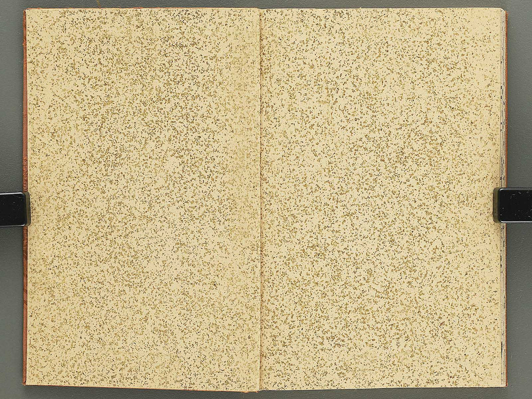 Shunga / BJ348-243