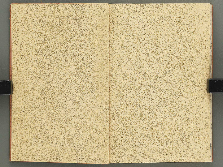 Shunga / BJ348-243