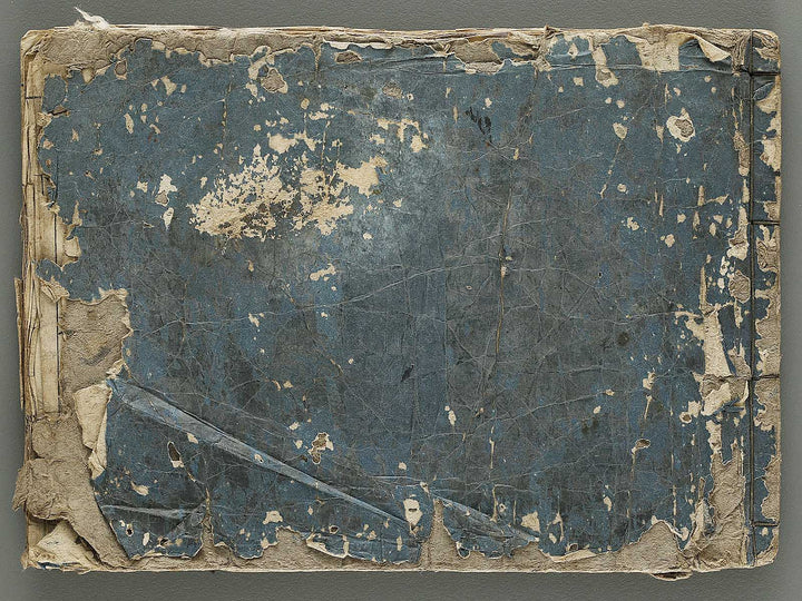 Ranma hinagata (Ge) / BJ336-056