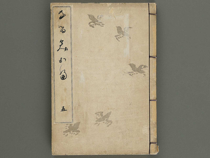 Narumikata Volume 5 by Odagiri Shunko / BJ322-546