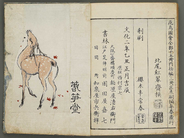 Kacho shashin zui by Kitao Shigemasa / BJ339-115