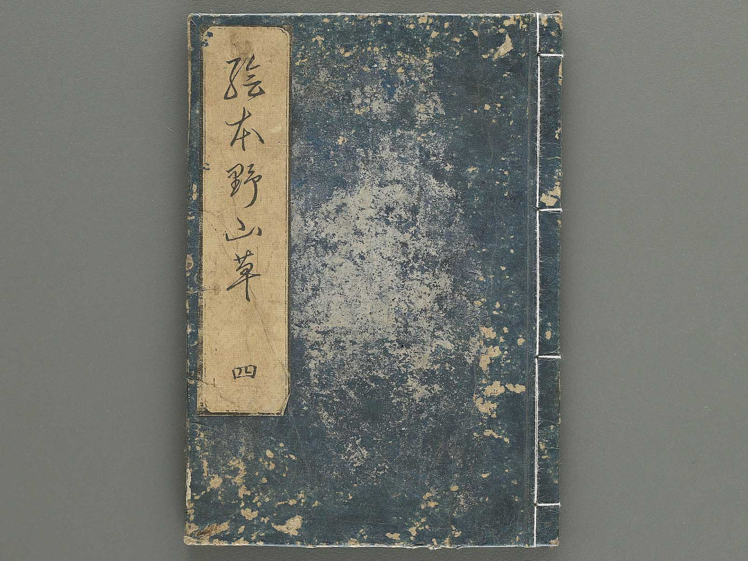 Gahon noyama gusa Volume 4 / BJ346-332