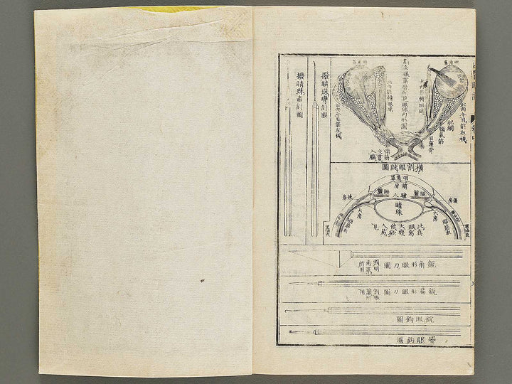 Seii ryakuron (Chu, Jo) / BJ326-319