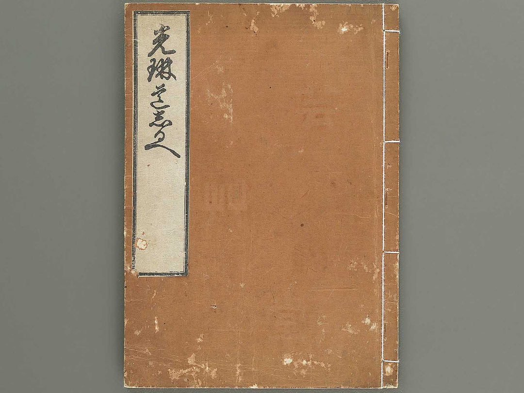 Korin michishirube by Nonomura Chube / BJ351-141