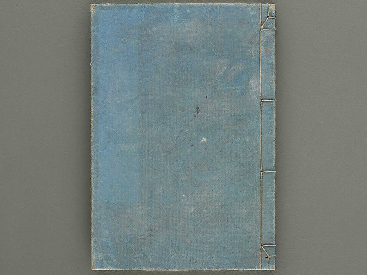 Shoryu hiden ikebana dokushu jizai Volume 2 / BJ332-745