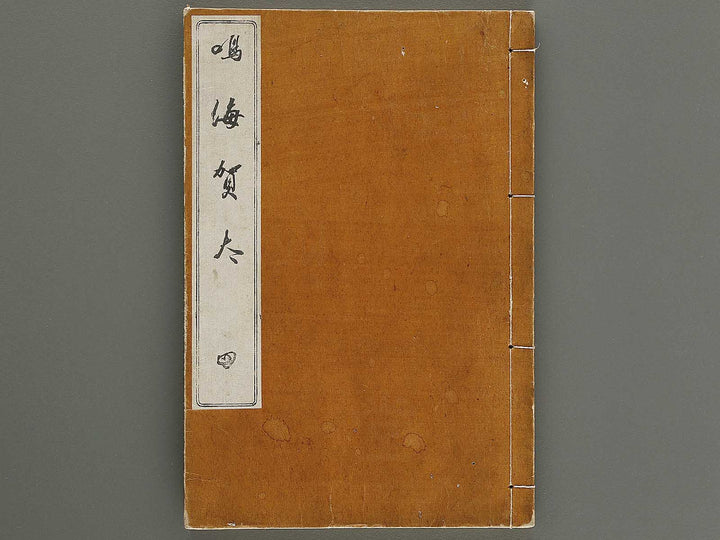 Narumikata Volume 4 by Odagiri Shunko / BJ339-913