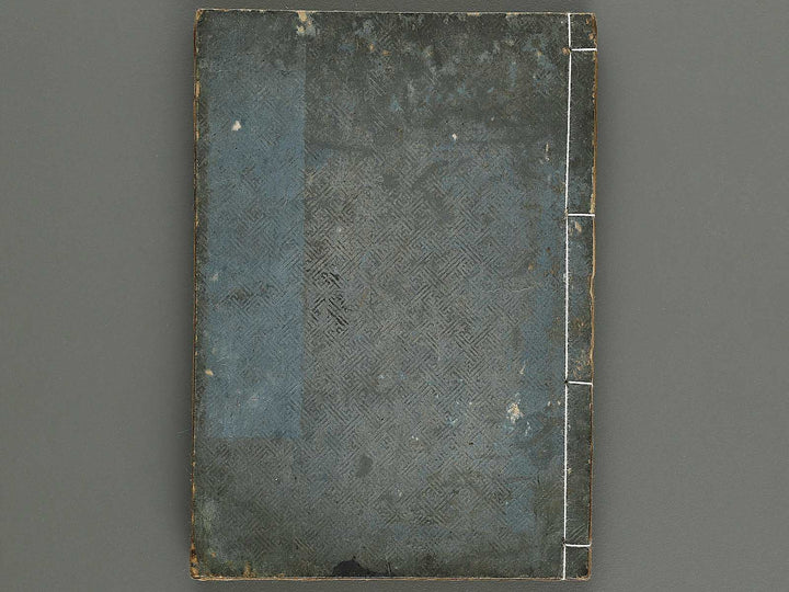 Shinsen taisho hinagata taizen Volume 3 / BJ323-519