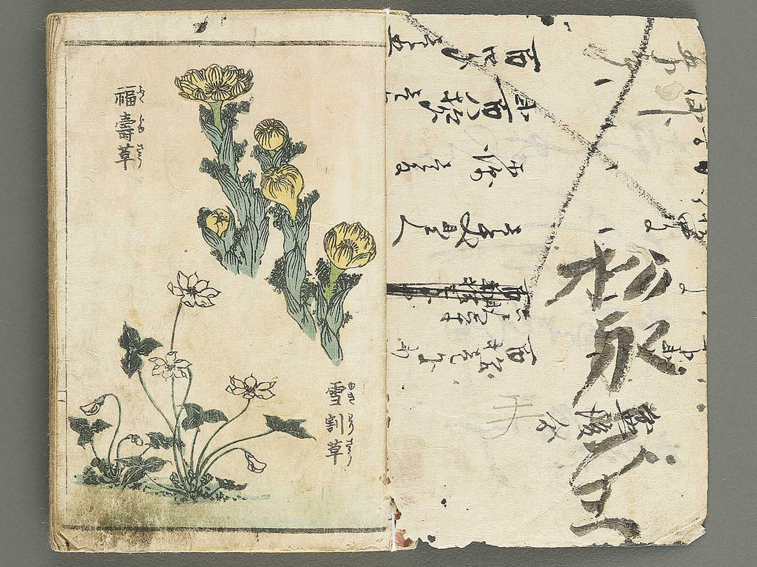 Soka e tehon by Keisai Eisen / BJ348-040