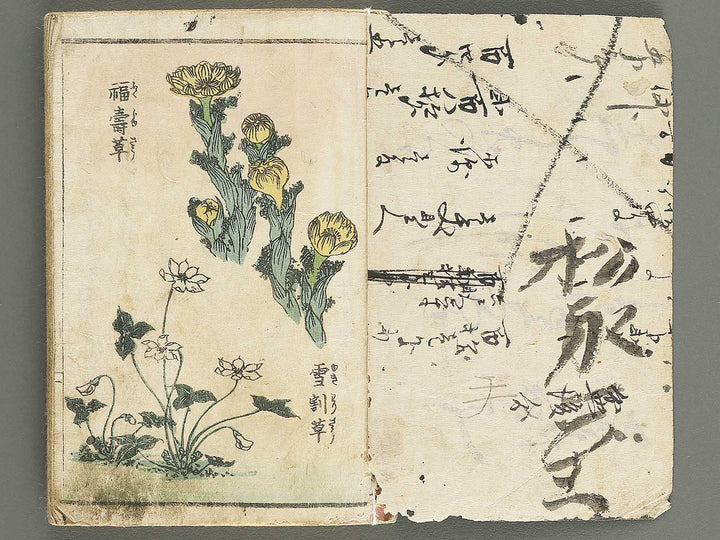 Soka e tehon by Keisai Eisen / BJ348-040