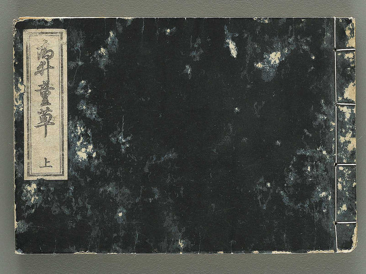 Iitogusa (Jo) / BJ343-224