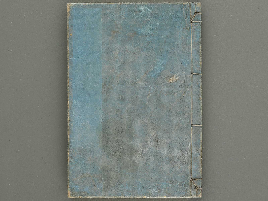 Shoryu hiden ikebana dokushu jizai Volume 4 / BJ332-759