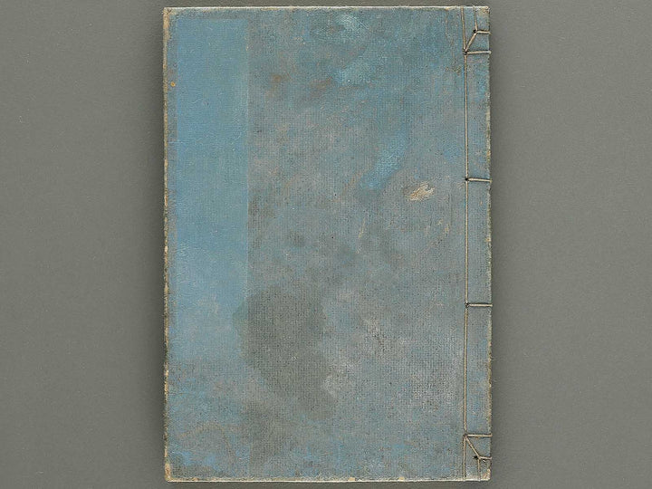 Shoryu hiden ikebana dokushu jizai Volume 4 / BJ332-759