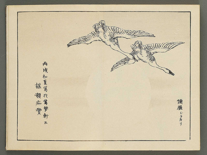 Bairei gafu (Kacho no bu) by Kono Bairei / BJ351-106