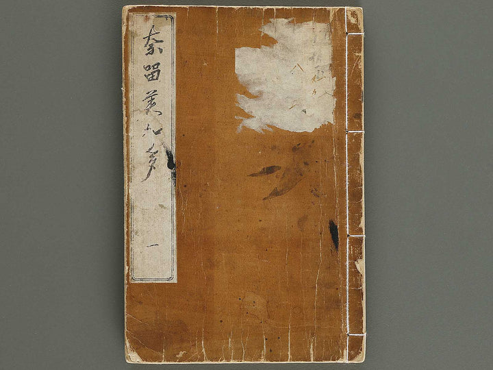 Narumikata Volume 1 by Odagiri Shunko / BJ321-433