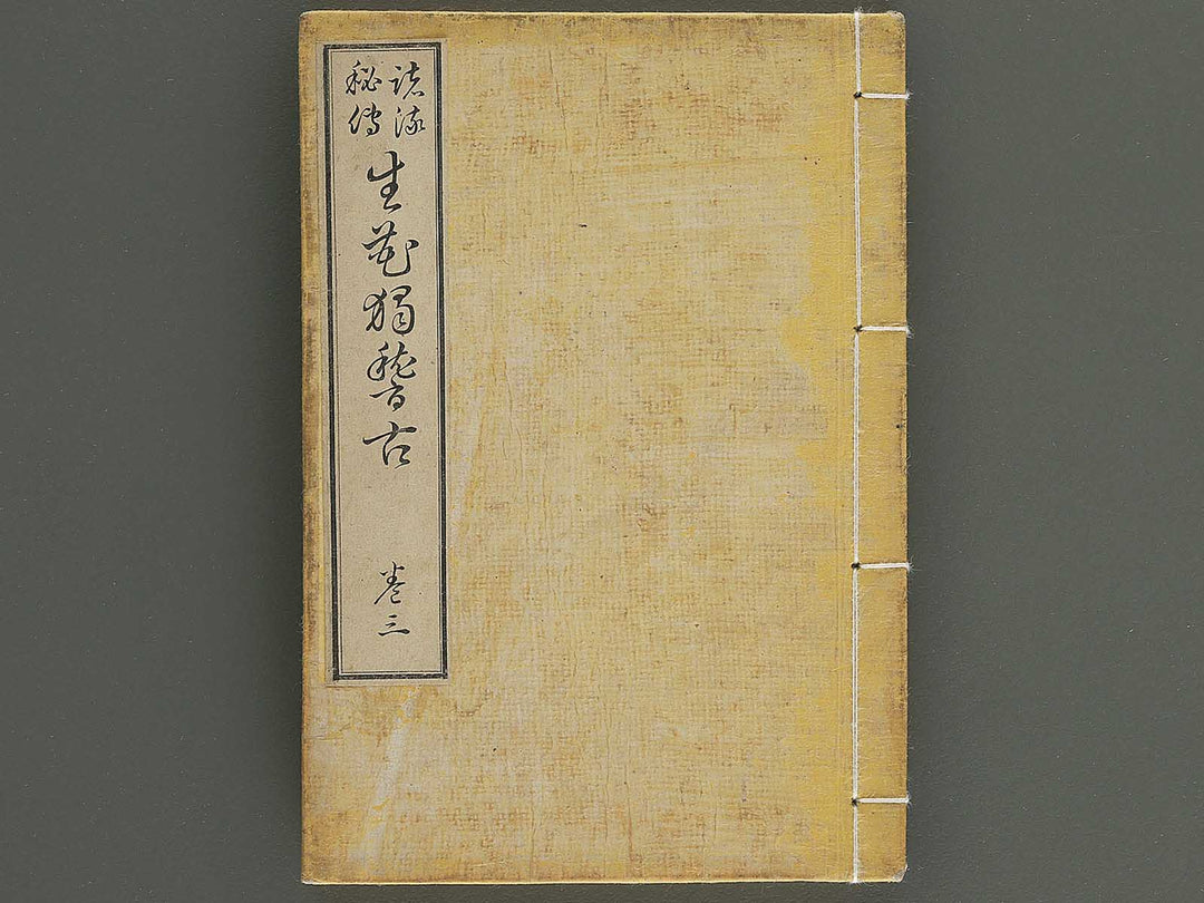 Shoryu hiden ikebana hitorigeiko Volume 3 / BJ347-942