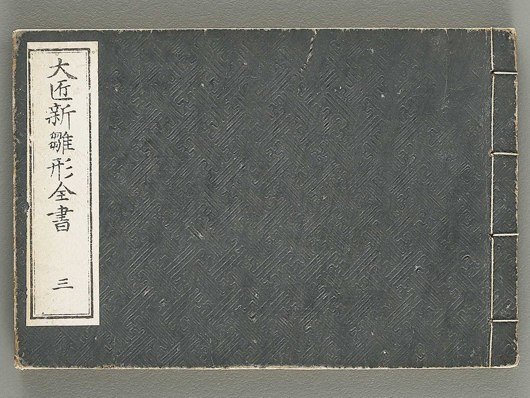 Taisho shin hinagata zensho Volume 3 by Izumi Kojiro / BJ338-009