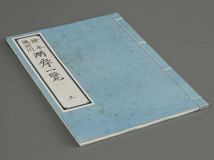 Ehon sumidagawa ryogan ichiran (Jo) by Katsushika Hokusai / BJ341-152