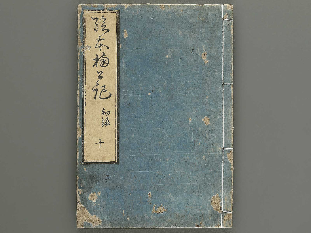 Ehon nankoki Part 1, Book 10 by Hayami Shungyosai / BJ343-126