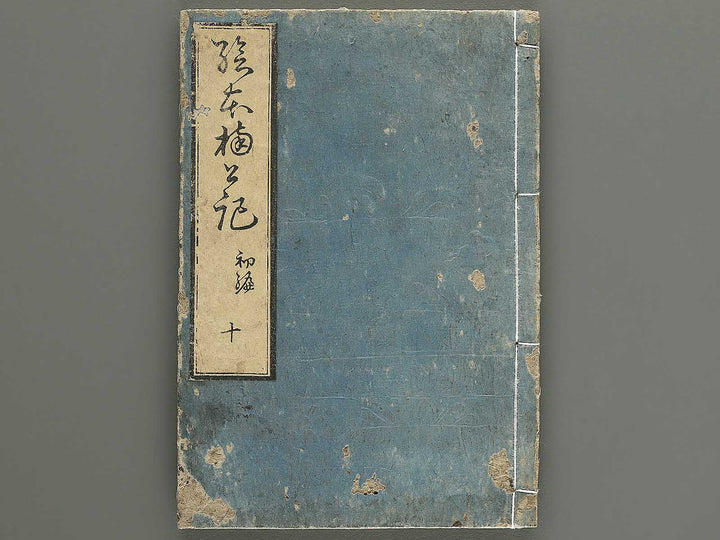 Ehon nankoki Part 1, Book 10 by Hayami Shungyosai / BJ343-126