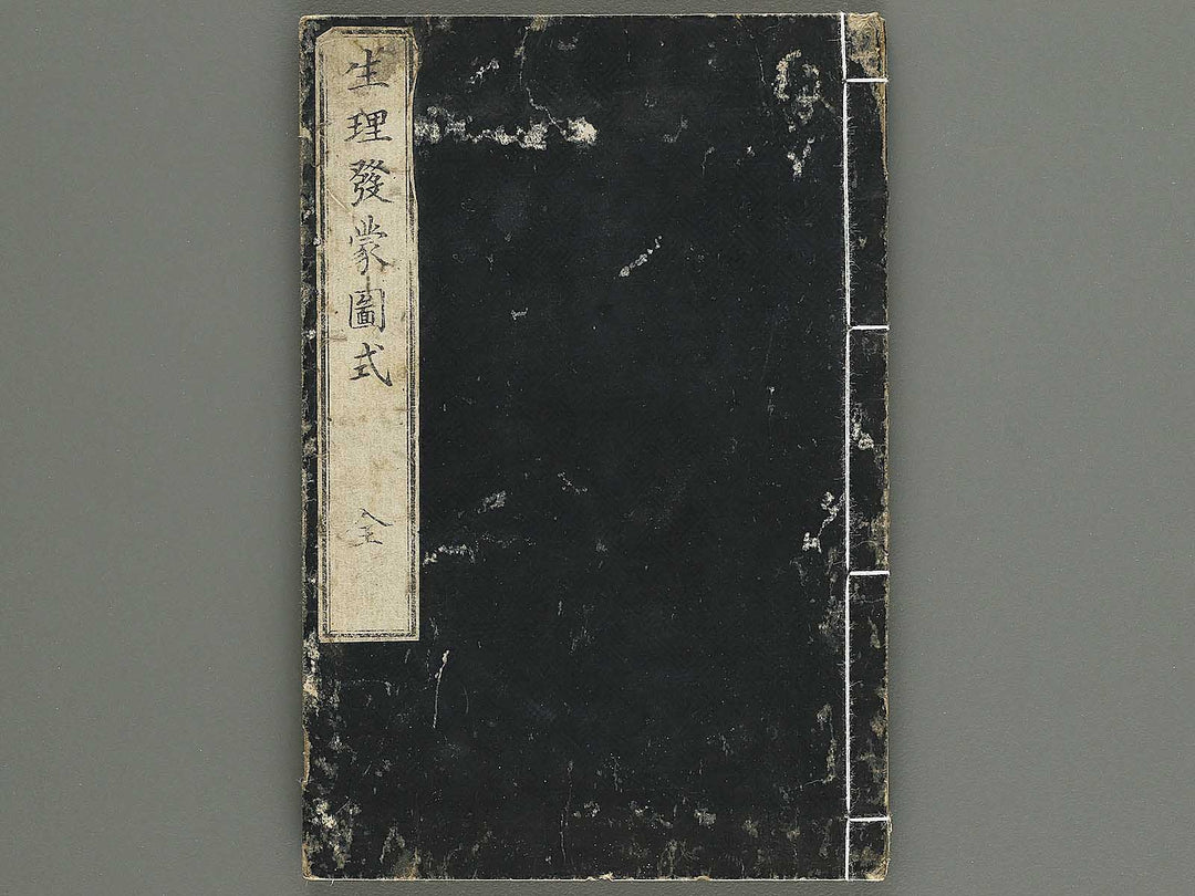 Seiri hatsumo zushiki / BJ343-658