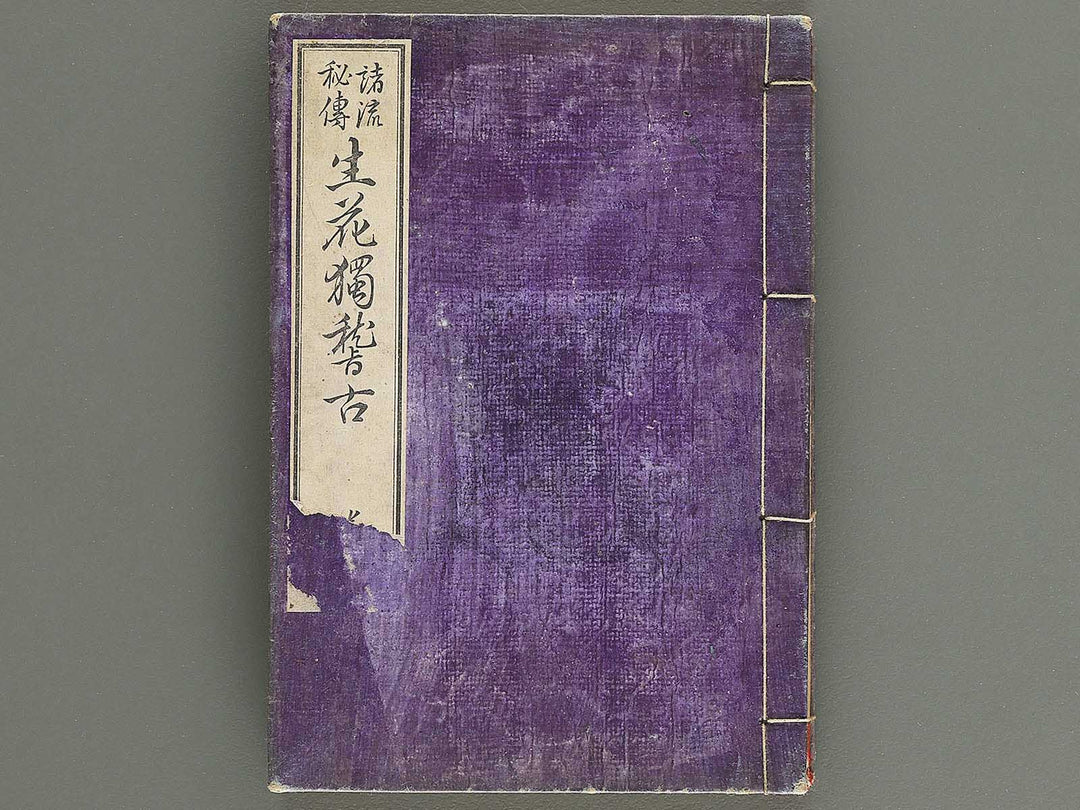 Shoryu hiden ikebana hitorigeiko Volume 2 / BJ347-935