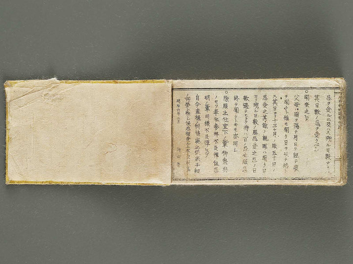 Dainihon chizu dochuki / BJ321-580