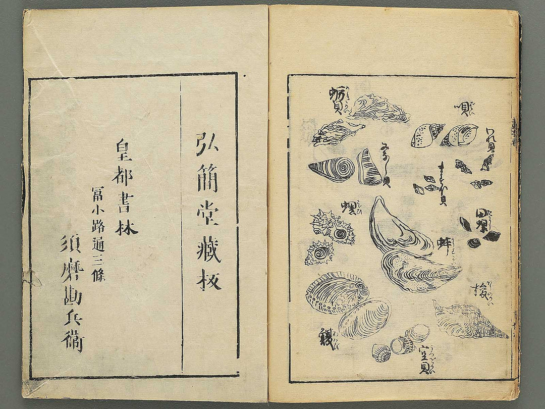 Ehon shoshin hashiradate (Ge) by Tachibana Morikuni / BJ348-649