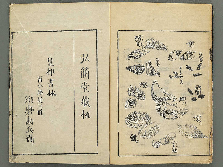 Ehon shoshin hashiradate (Ge) by Tachibana Morikuni / BJ348-649
