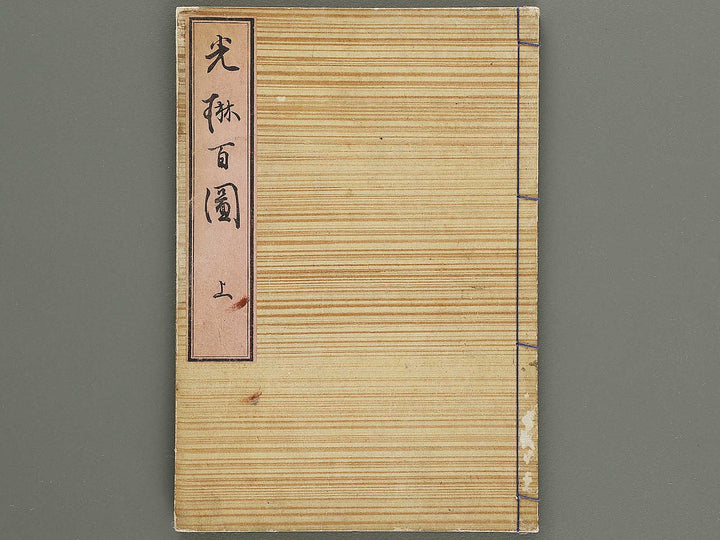 Korin hyakuzu (Jo) by Ogata Korin / BJ339-598
