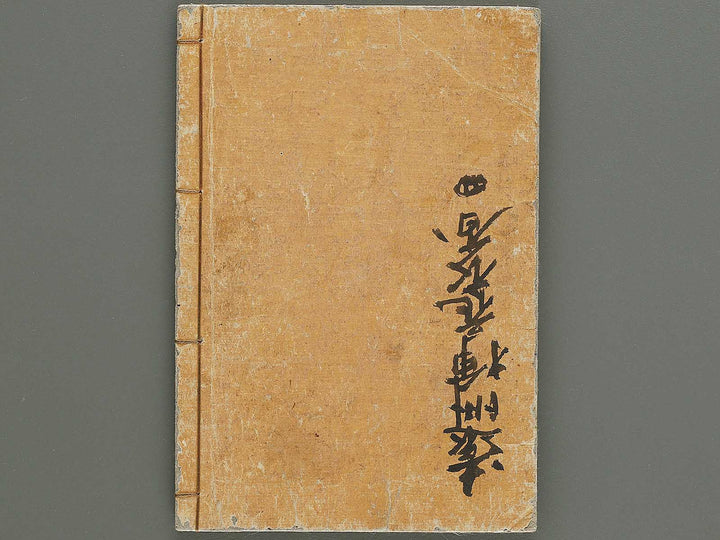 Soka koromonoka Volume 4 by Hishikawa Sori / BJ335-188