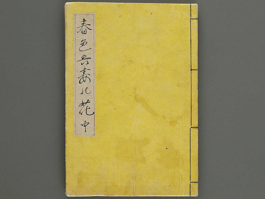 Shunshoku azuma no hana (Chu) / BJ333-914