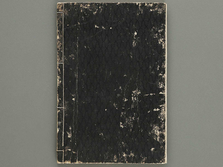 Kaisei nihon kuni zukushi Volume 1 / BJ330-386