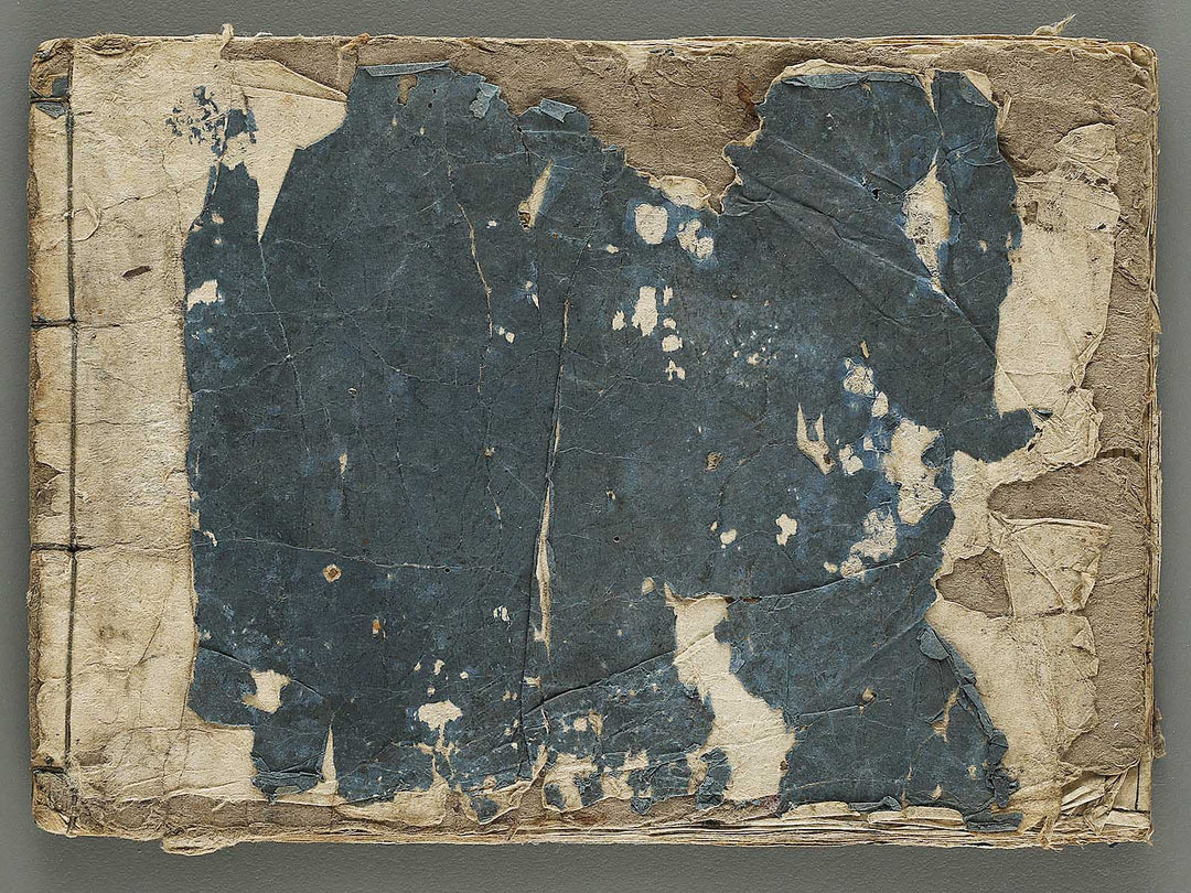 Ranma hinagata (Ge) / BJ336-056