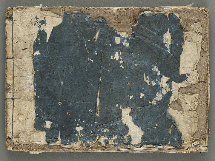 Ranma hinagata (Ge) / BJ336-056