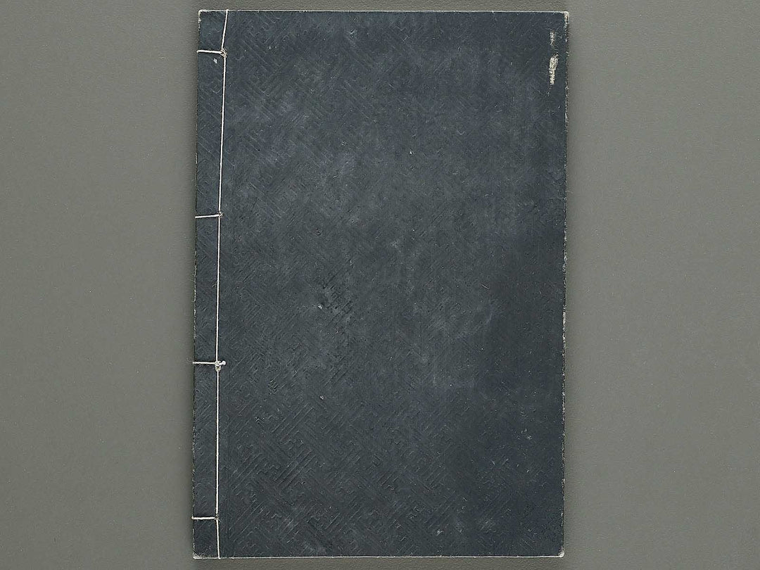 Shinsen taisho hinagata taizen Volume 3 / BJ324-107