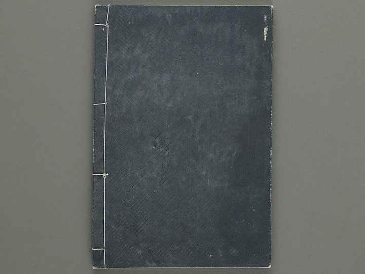 Shinsen taisho hinagata taizen Volume 3 / BJ324-107